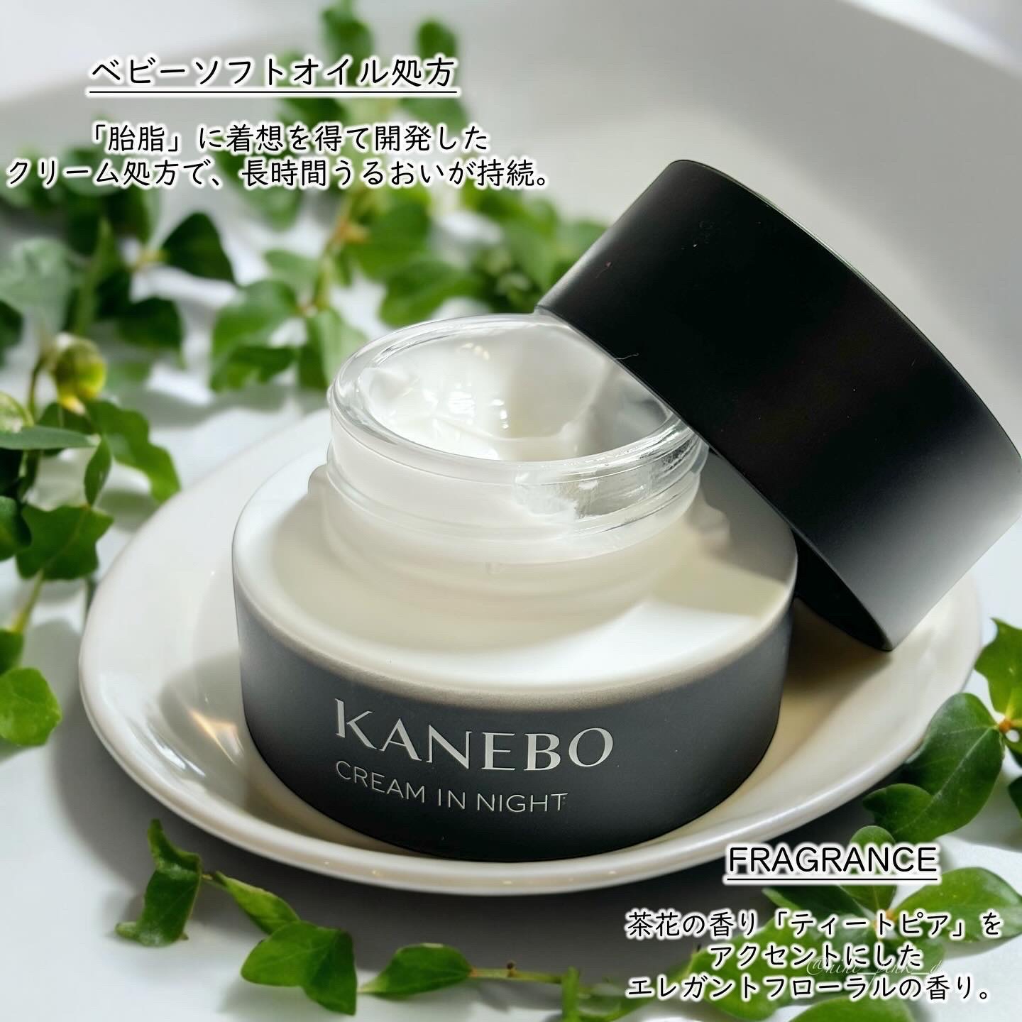 カネボウ クリーム イン ナイト/KANEBO/フェイスクリームを使ったクチコミ（3枚目）