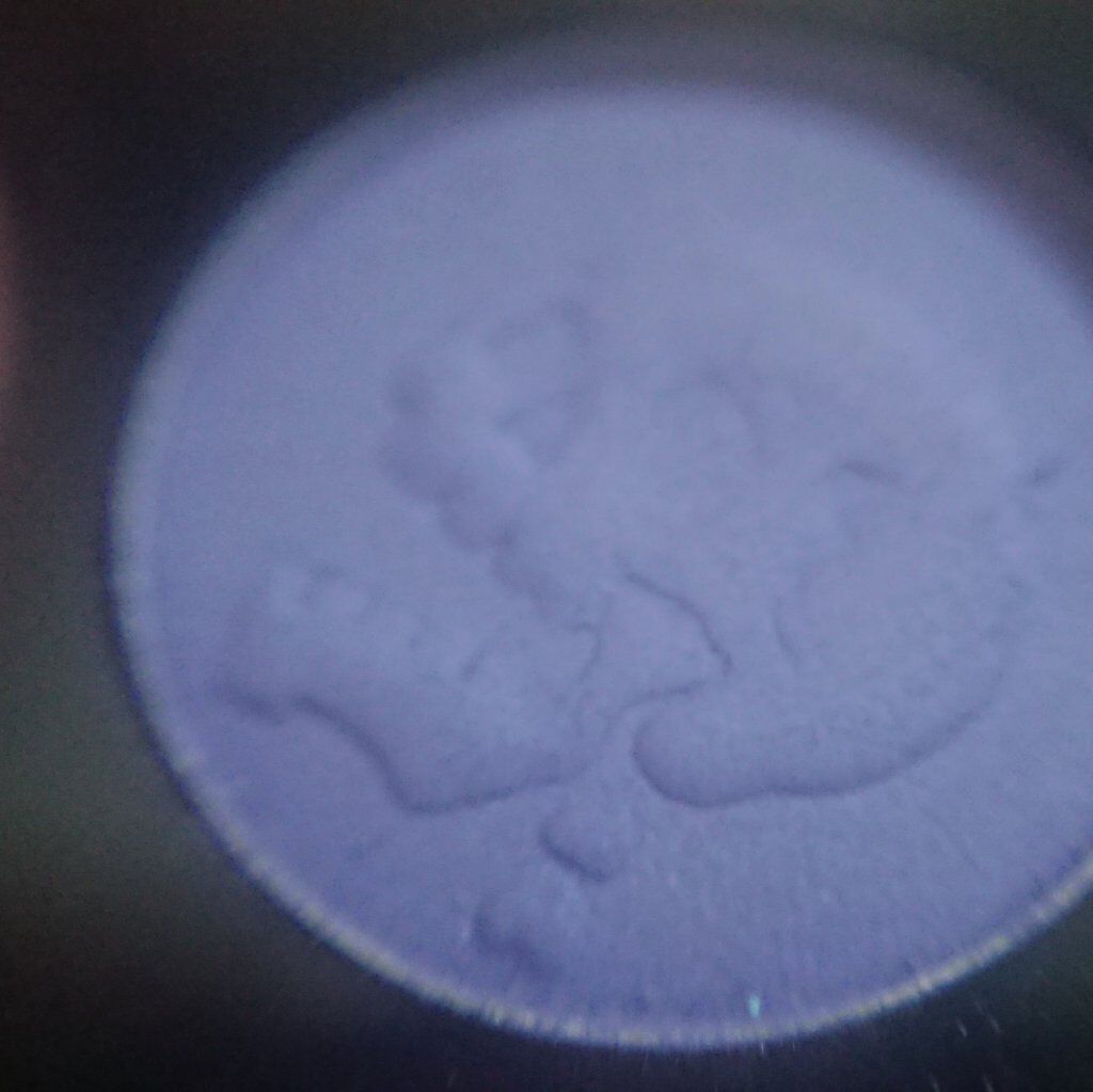 イメージ「マヤ」 アイシャドウパレット/ZEESEA/アイシャドウパレットを使ったクチコミ(2枚目)