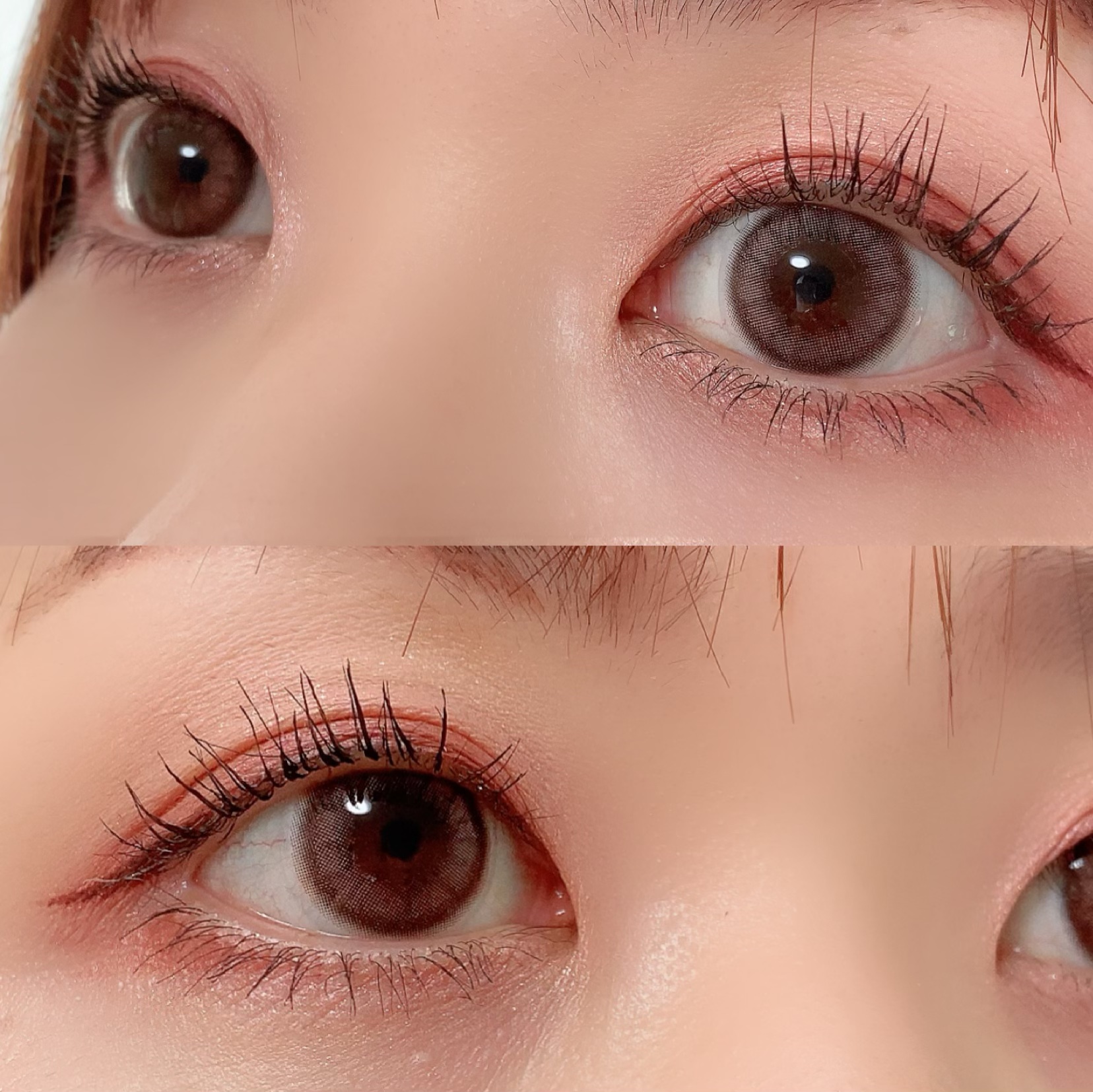 melady 1day ライアーピンク/melady/ワンデー（１DAY）カラコンを使ったクチコミ（2枚目）