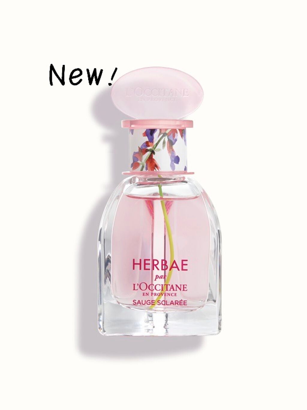 エルバヴィオレット オードトワレ/L'OCCITANE/香水(レディース)を使ったクチコミ(1枚目)