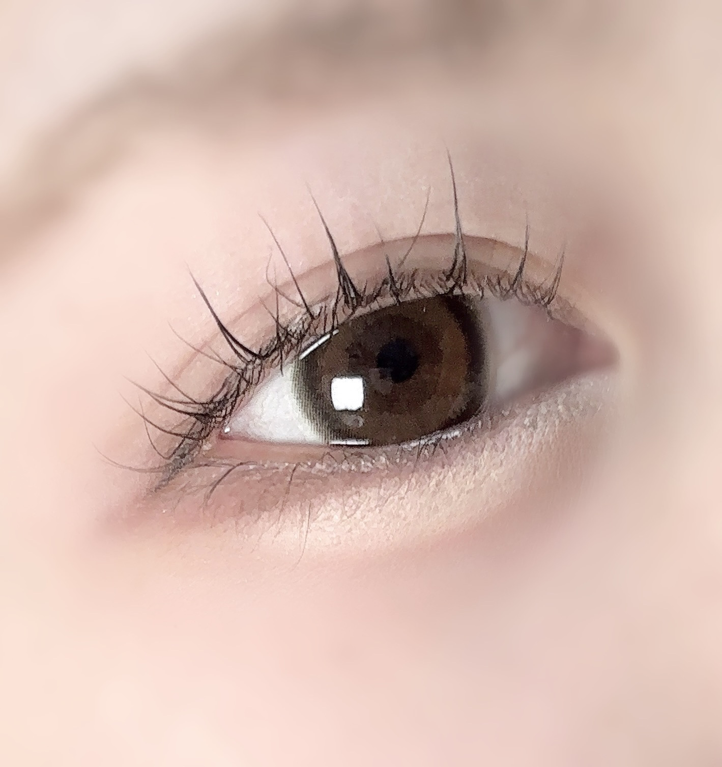 candymagic1day（キャンディーマジックワンデー） ミミブラウン/candy magic/ワンデー（１DAY）カラコンを使ったクチコミ（1枚目）