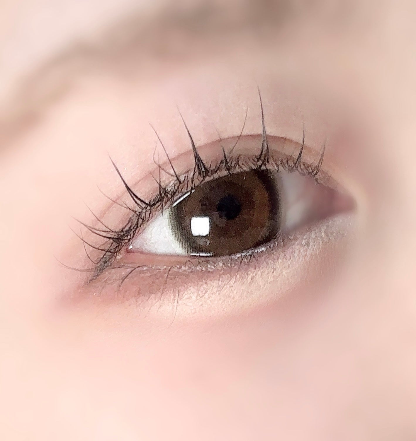 candymagic1day(キャンディーマジックワンデー)/candy magic/ワンデー(1DAY)カラコンを使ったクチコミ(1枚目)