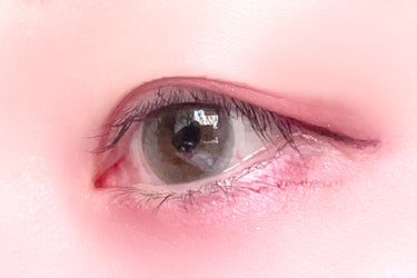 PETIT PECHY 1DAY STANDARD EDITION/Torico Eye./カラーコンタクトレンズを使ったクチコミ（4枚目）