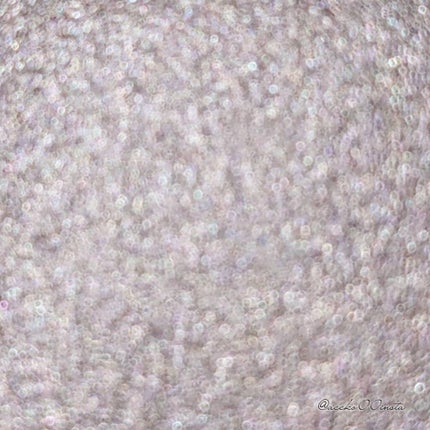 プレスド アイシャドー(レフィル)/shu uemura/単色アイシャドウを使ったクチコミ(5枚目)