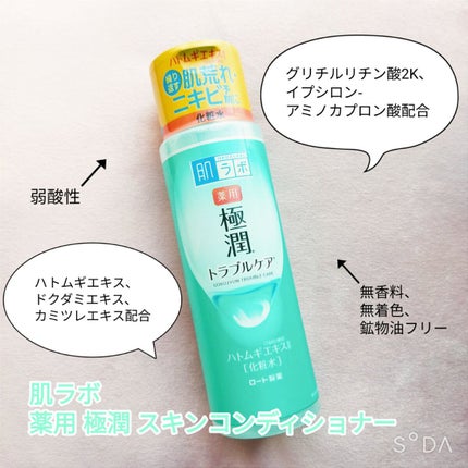 薬用 極潤 スキンコンディショナー/肌ラボ/化粧水を使ったクチコミ(2枚目)