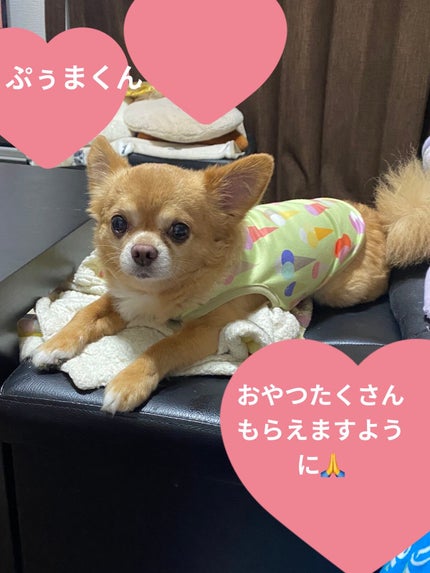 ネイル エナメル 細筆タイプ/ちふれ/マニキュアを使ったクチコミ(5枚目)