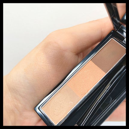 ヴィセ リシェ アイブロウパウダー/Visée/パウダーアイブロウを使ったクチコミ(4枚目)