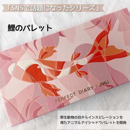 エクスプローラ12色 動物アイシャドウパレット/PERFECT DIARY/アイシャドウパレットを使ったクチコミ(2枚目)