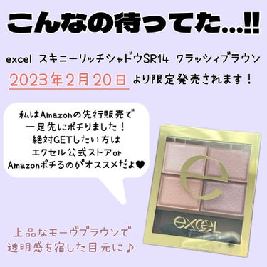 スキニーリッチシャドウ/excel/アイシャドウパレットを使ったクチコミ（2枚目）