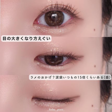 マルチユースシャドウパレット/RULIDIA/アイシャドウパレットを使ったクチコミ(3枚目)