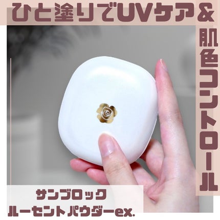 サンブロックルーセントパウダーex./ステファニー/プレストパウダーを使ったクチコミ(1枚目)