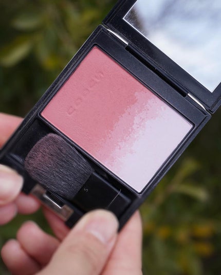 ピュア カラー ブラッシュ/SUQQU/パウダーチークを使ったクチコミ(2枚目)