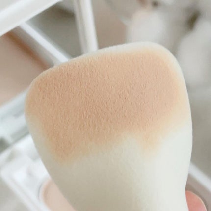 薬用フェイスプロテクトパウダー/IHADA/プレストパウダーを使ったクチコミ(4枚目)