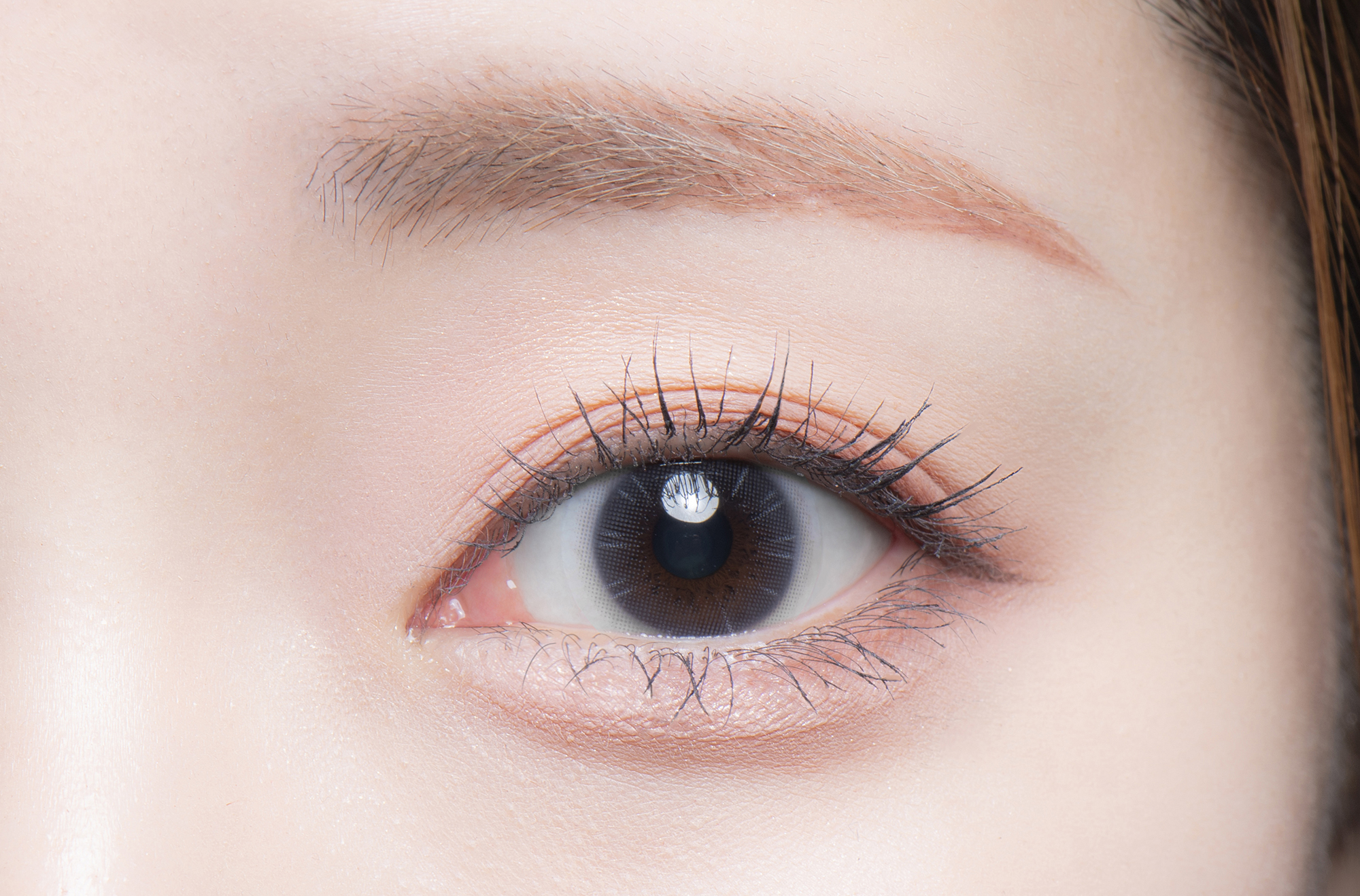 1-DAY Refrear dolemi ホログレージュ