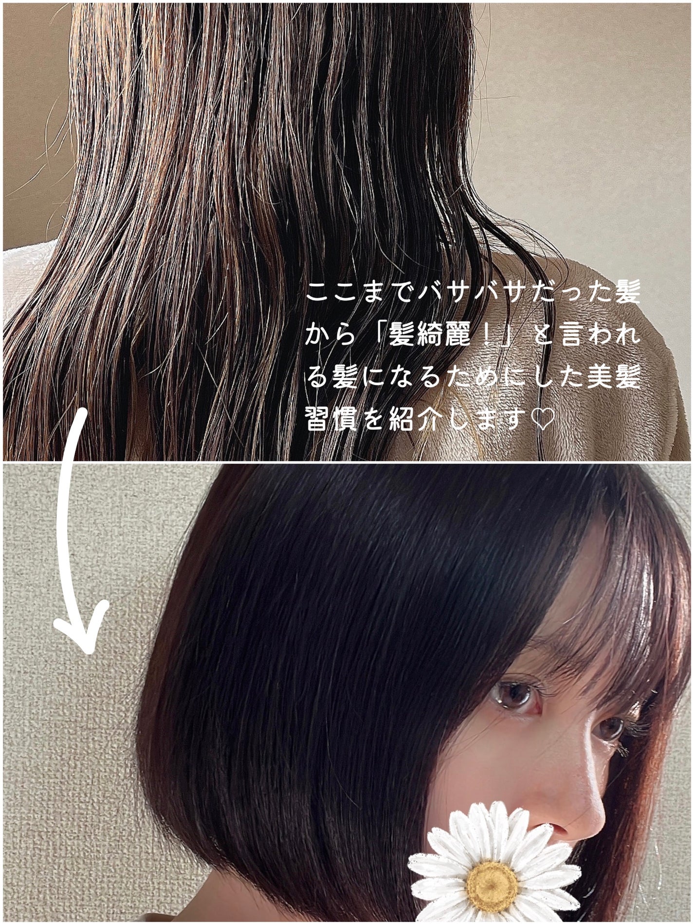 柳屋 あんず油/柳屋あんず油/ヘアオイルを使ったクチコミ(2枚目)