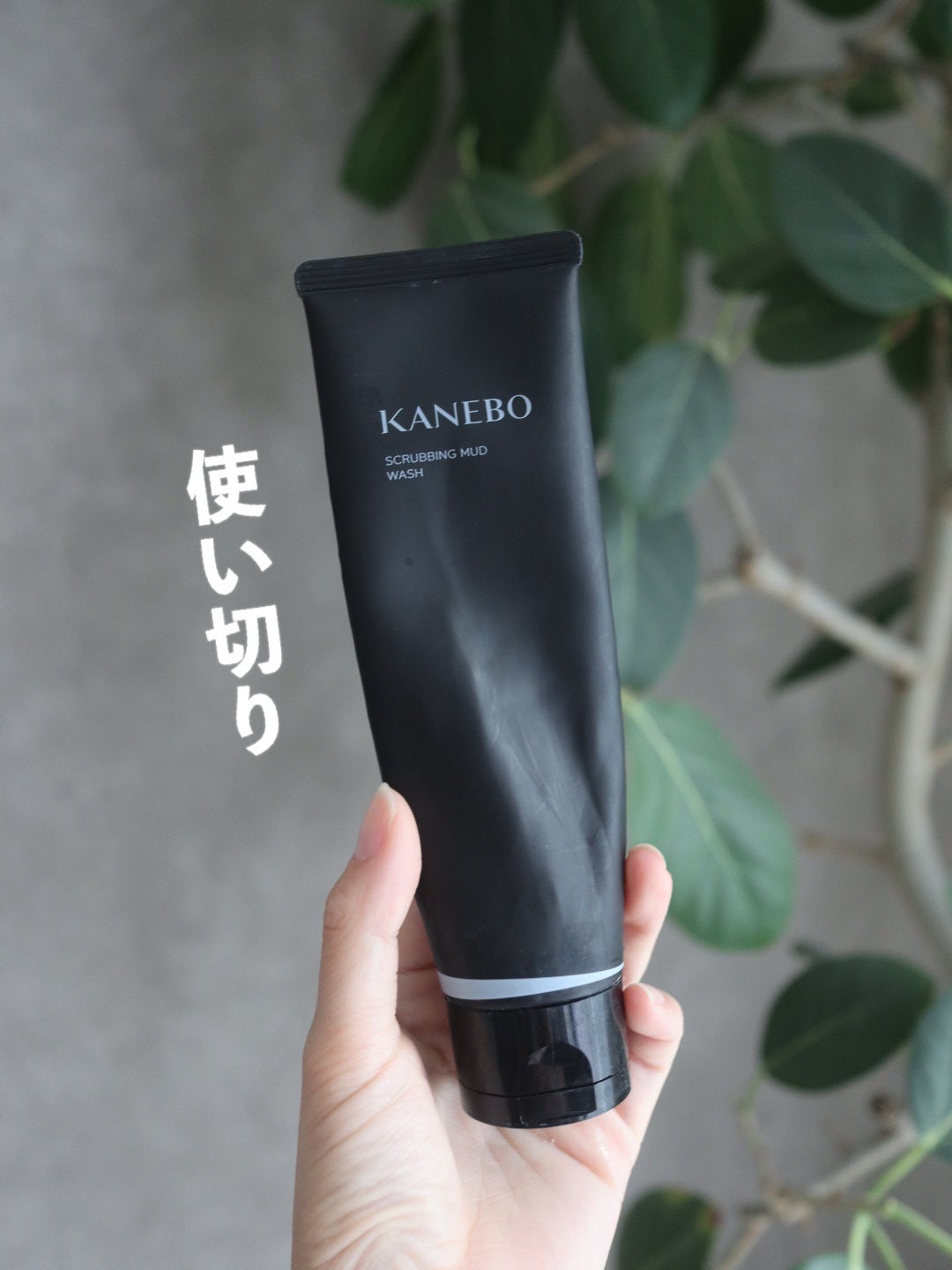 スクラビング マッド ウォッシュ/KANEBO/洗顔フォームを使ったクチコミ(1枚目)