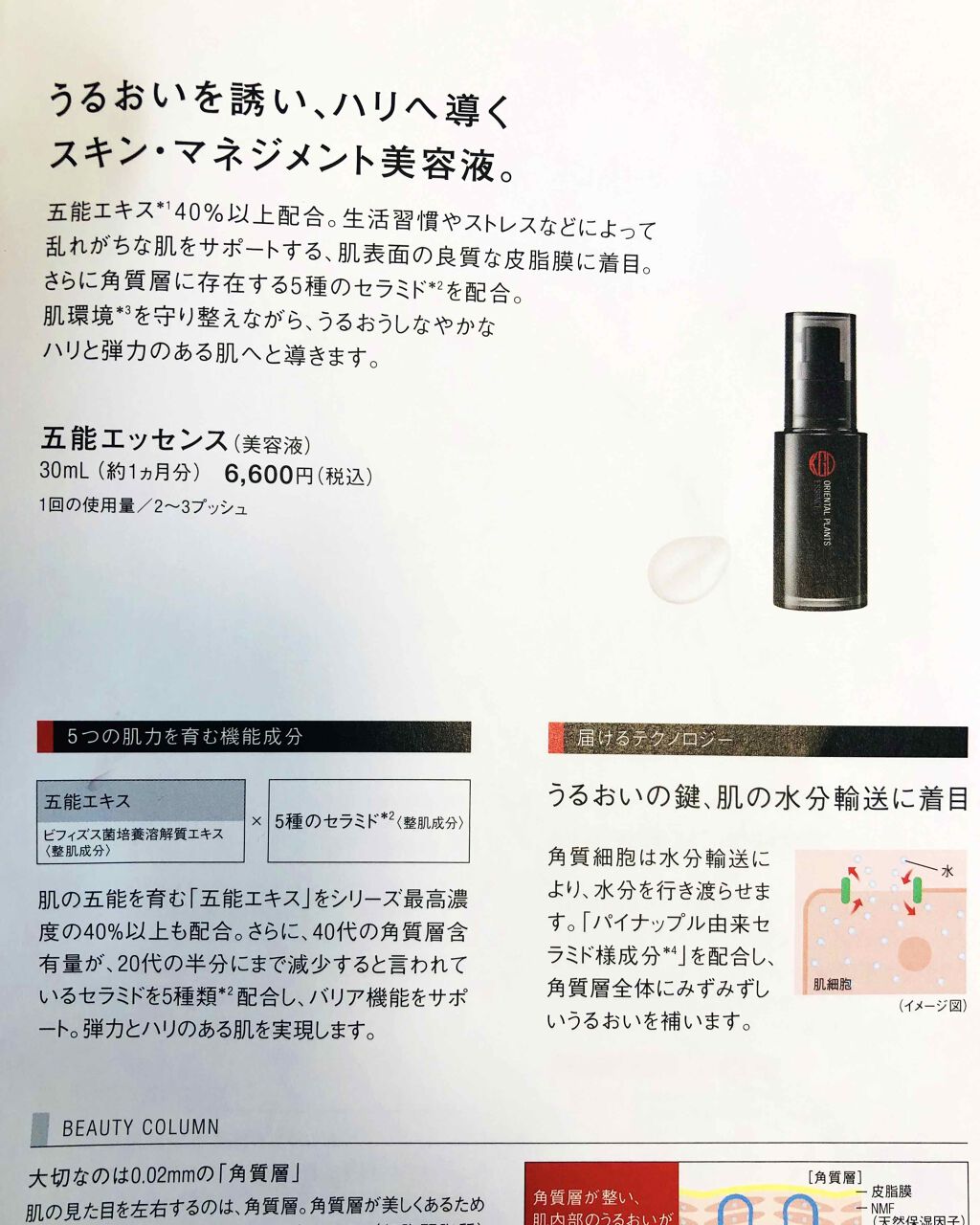 オリエンタルプランツ 五能エッセンス/Koh Gen Do/ブースター・導入液を使ったクチコミ(2枚目)