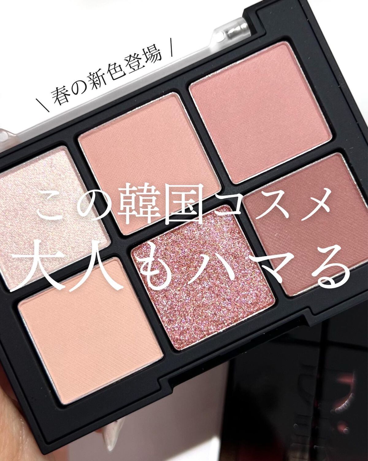 ブラーフィニシュシャドウパレット/Dinto/アイシャドウパレットを使ったクチコミ（1枚目）