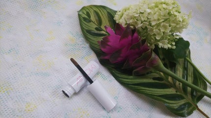 デザイニング アイブロウ /AINOKI/パウダーアイブロウを使ったクチコミ(2枚目)