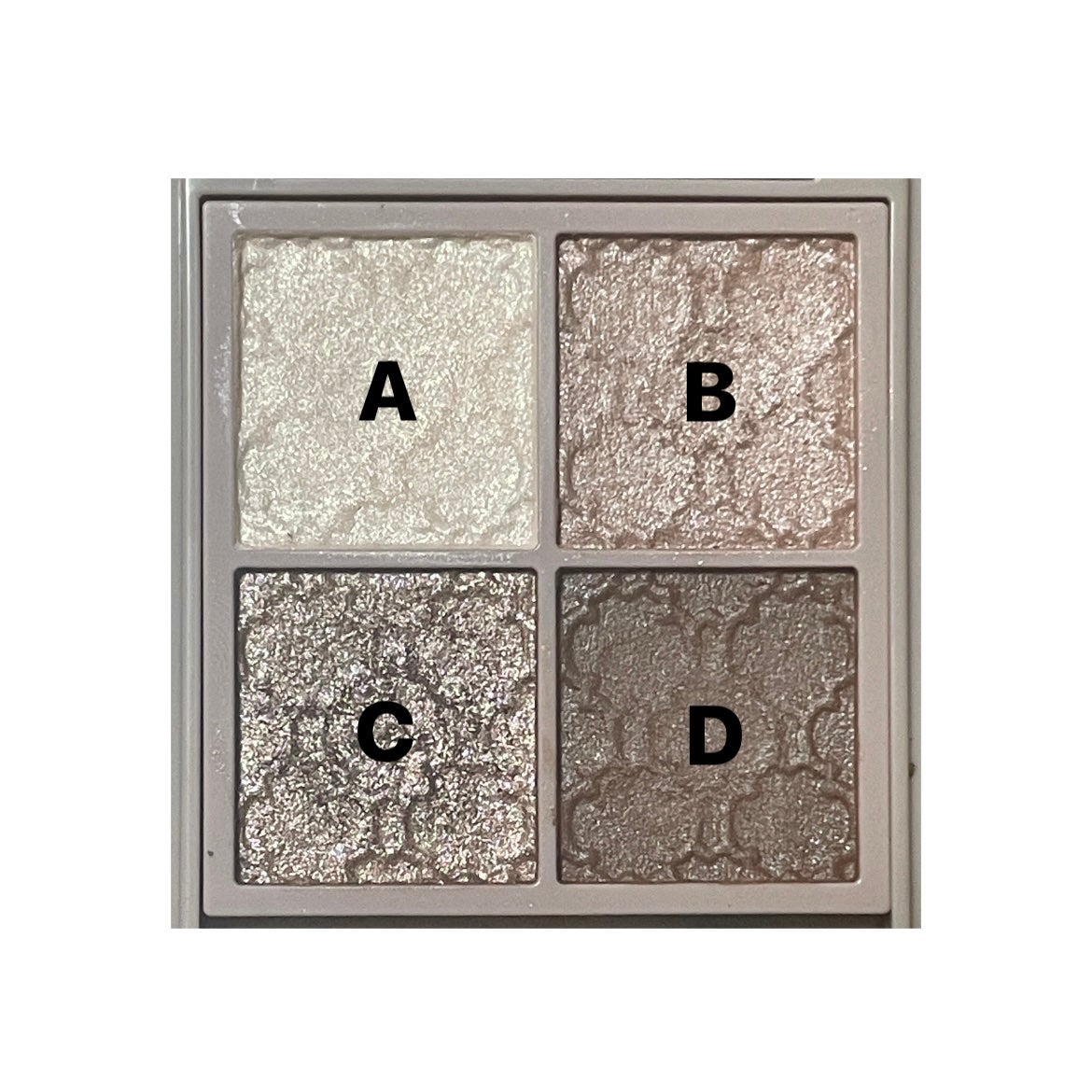 グロッシーリッチ アイズ N/Visée/アイシャドウパレットを使ったクチコミ(3枚目)