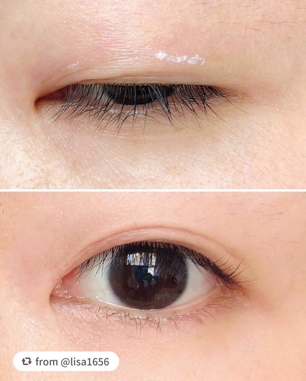 TWOOL ダブルアイリッドグルー/SHOBIDO/二重まぶた用アイテムを使ったクチコミ(5枚目)