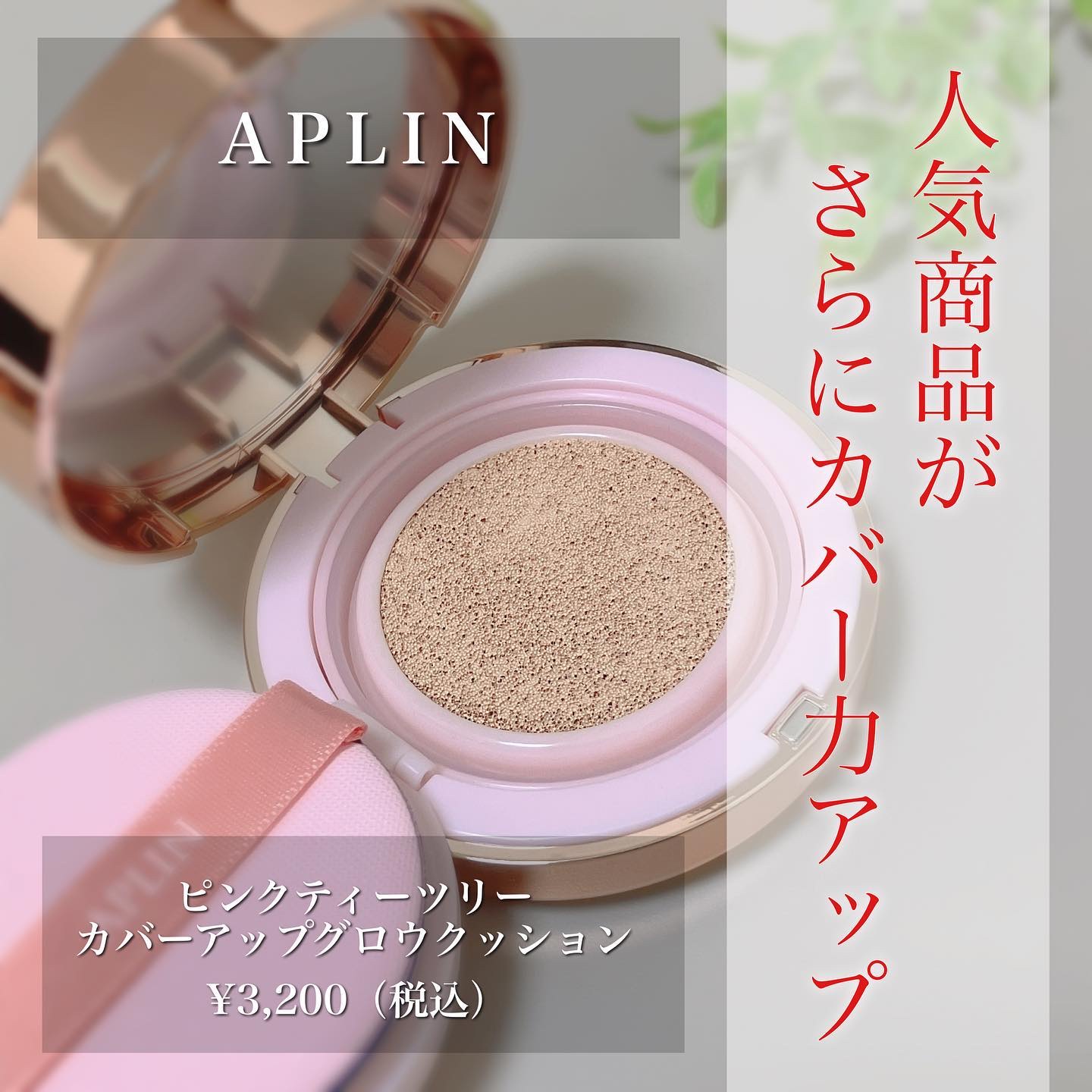 ピンクティーツリーカバーアップグロウクッション/APLIN/クッションファンデーションを使ったクチコミ（1枚目）