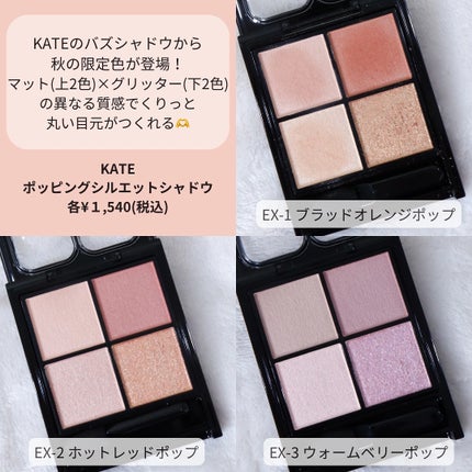 ケイト ポッピングシルエットシャドウ/KATE/アイシャドウパレットを使ったクチコミ(2枚目)