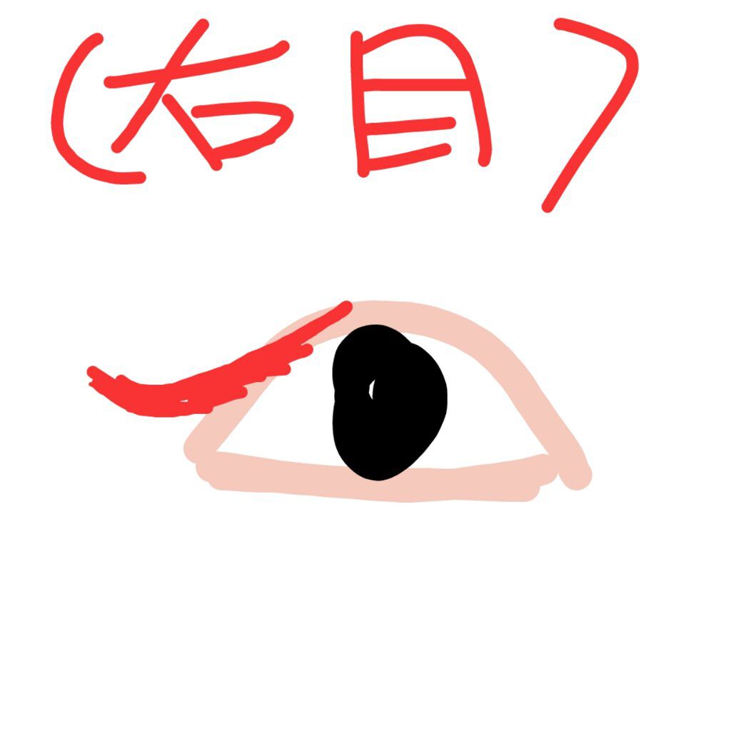 パーフェクトマルチアイズ/キャンメイク/アイシャドウパレットを使ったクチコミ（2枚目）