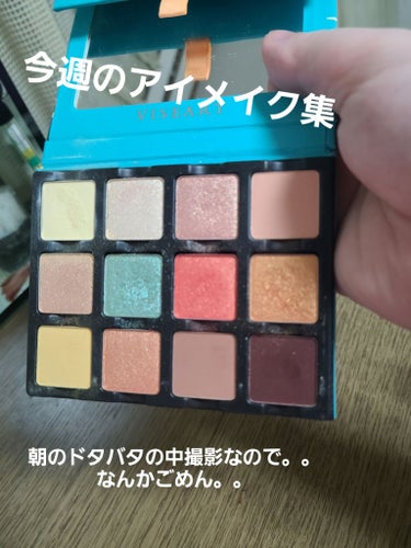 Étendu Palette   SOLEIL LA PLAGE/VISEART/アイシャドウパレットを使ったクチコミ（1枚目）