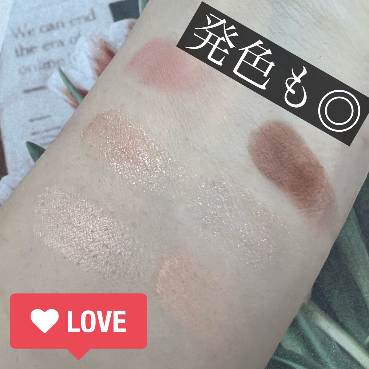 チョコミント スペシャルキット/ETUDE/メイクアップキットを使ったクチコミ（3枚目）