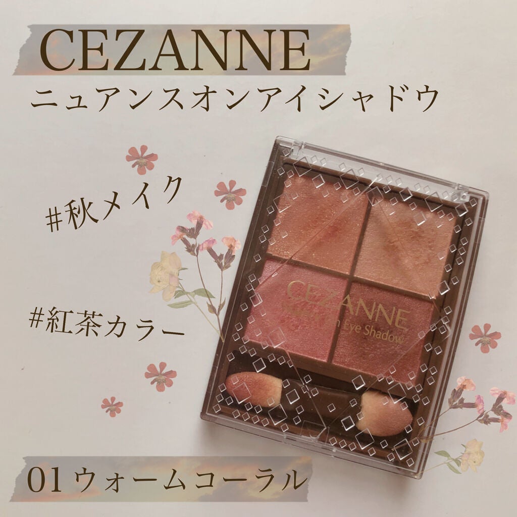 ニュアンスオンアイシャドウ/CEZANNE/アイシャドウパレットを使ったクチコミ(1枚目)