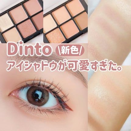 ブラーフィニシュシャドウパレット/Dinto/アイシャドウパレットを使ったクチコミ(1枚目)