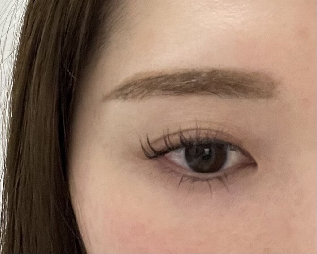 ヴィセ リシェ アイブロウパウダー/Visée/パウダーアイブロウを使ったクチコミ（2枚目）