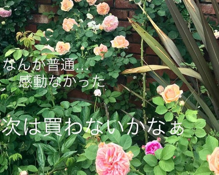 極潤3Dパーフェクトマスク/肌ラボ/シートマスク・パックを使ったクチコミ(1枚目)