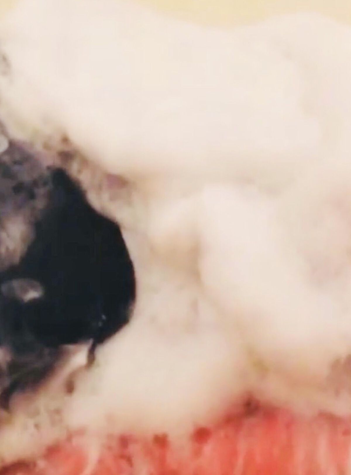 エッセンス ソープ/雪肌精/洗顔石鹸を使ったクチコミ（3枚目）