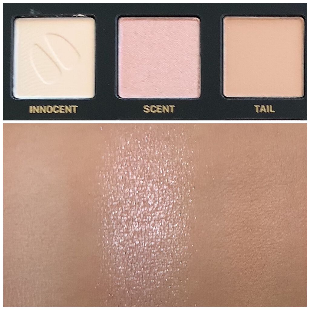 エクスプローラ12色 動物アイシャドウパレット/PERFECT DIARY/アイシャドウパレットを使ったクチコミ(6枚目)