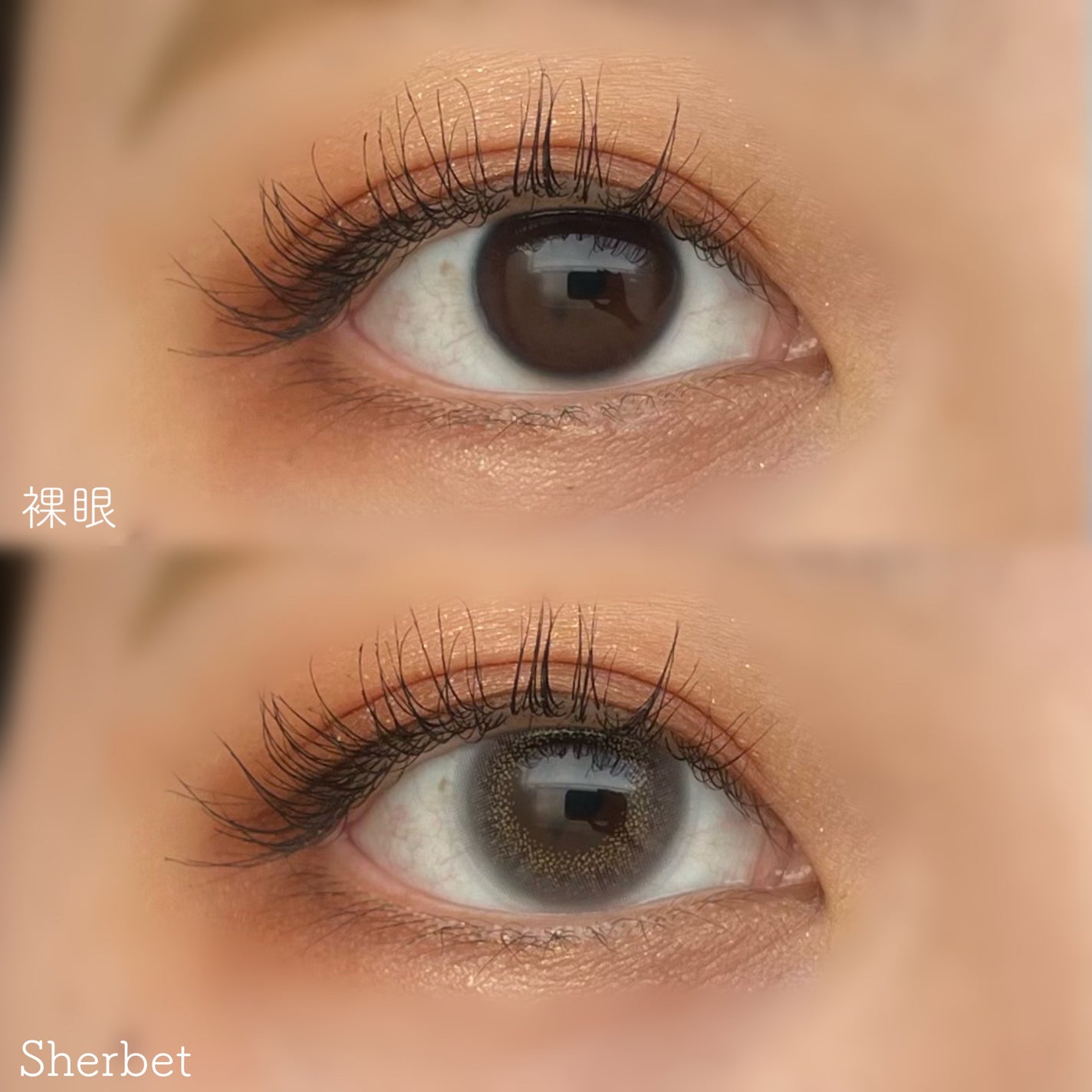 HARNE 1day/HARNE/ワンデー(1DAY)カラコンを使ったクチコミ(7枚目)