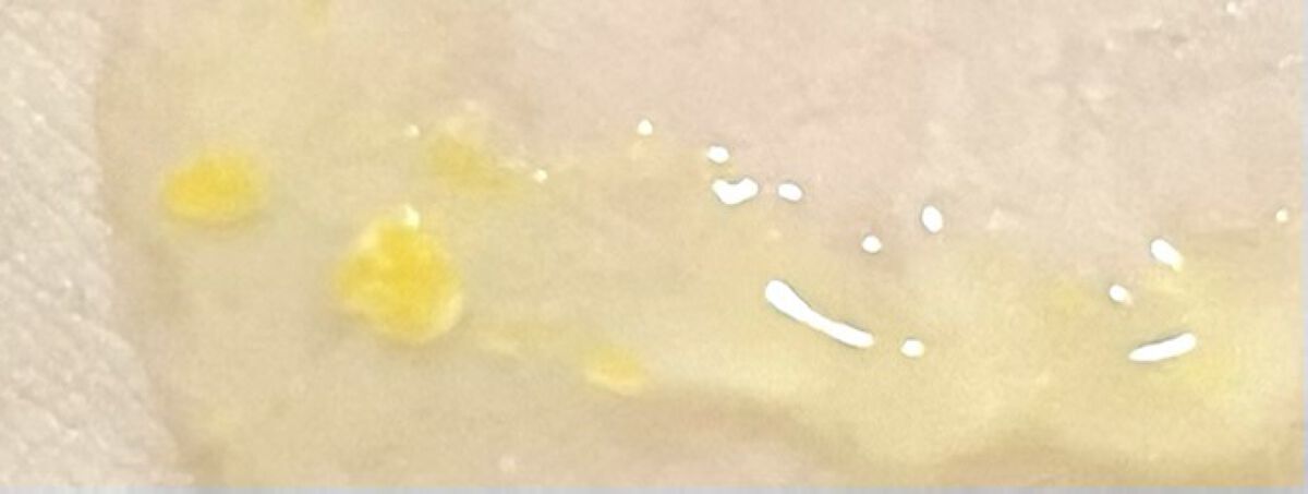 ビタペアC クリーム/ネイチャーリパブリック/フェイスクリームを使ったクチコミ（2枚目）