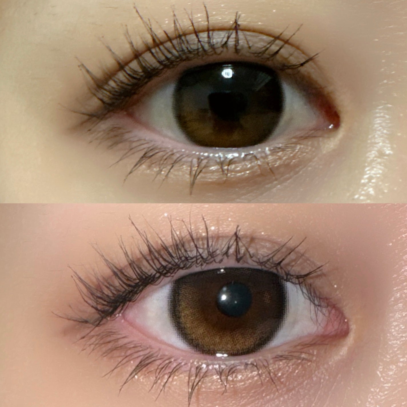 Glowy 1day/OLENS/ワンデー(1DAY)カラコンを使ったクチコミ(2枚目)