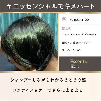 THE BEAUTY 髪ã®ãã¡çŸå®¹ã·ã£ã³ããŒïŒã³ã³ãã£ã·ã§ããŒïŒã¢ã€ã¹ããªãã¢ïŒ /ãšãã»ã³ã·ã£ã«/åžè²©ã·ã£ã³ããŒã䜿ã£ãã¯ãã³ãïŒ1æç®ïŒ