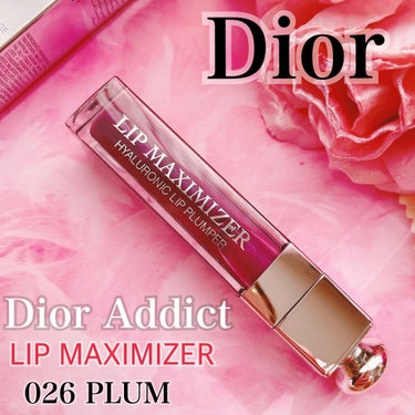 【旧】ディオール アディクト リップ マキシマイザー 026 プラム/Dior/リップグロスを使ったクチコミ（1枚目）