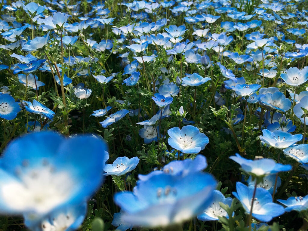 アイプランナーパレット/excel/アイシャドウパレットを使ったクチコミ(4枚目)