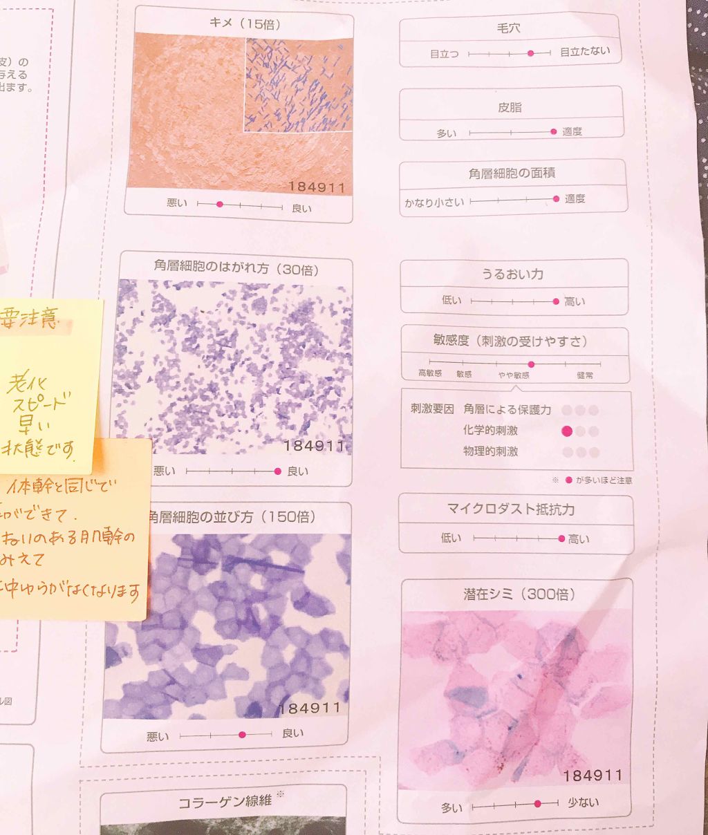 無料サンプル(約5日分)/APEX/トライアルキットを使ったクチコミ（3枚目）