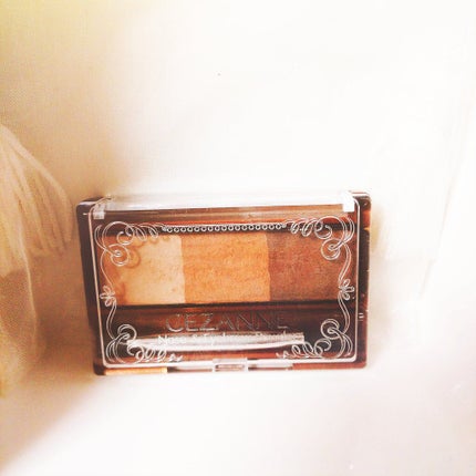 ノーズ&アイブロウパウダー/CEZANNE/パウダーアイブロウを使ったクチコミ(1枚目)