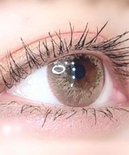 【旧品】パーフェクトスタイリストアイズ/キャンメイク/アイシャドウパレットを使ったクチコミ(1枚目)