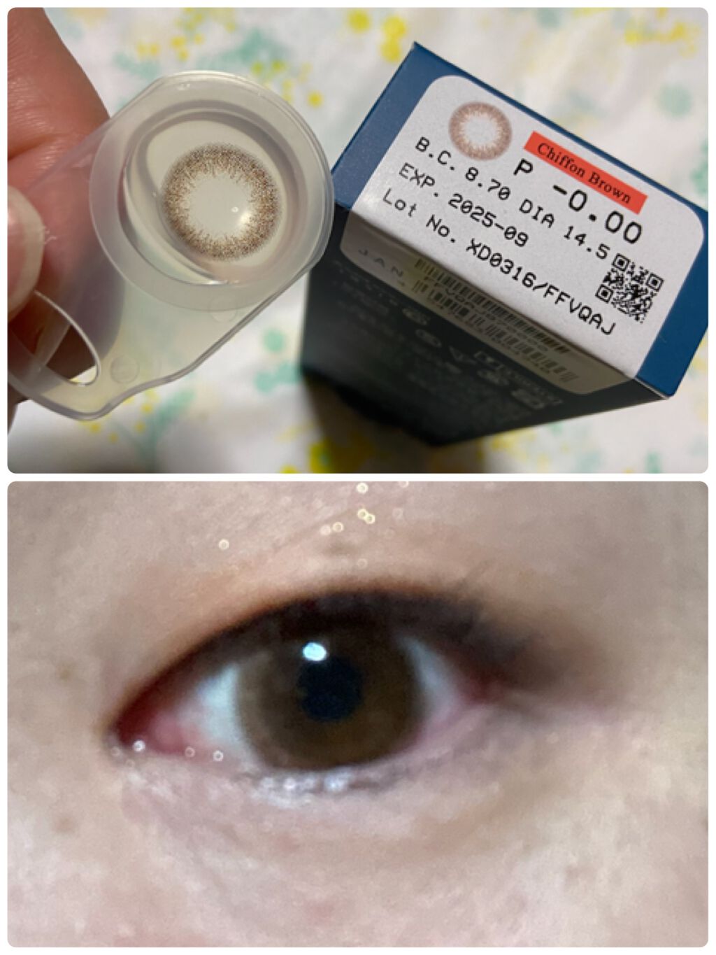 エバーカラーワンデーナチュラル モイストレーベルUV シフォンブラウン/エバーカラー/ワンデー（１DAY）カラコンを使ったクチコミ（1枚目）