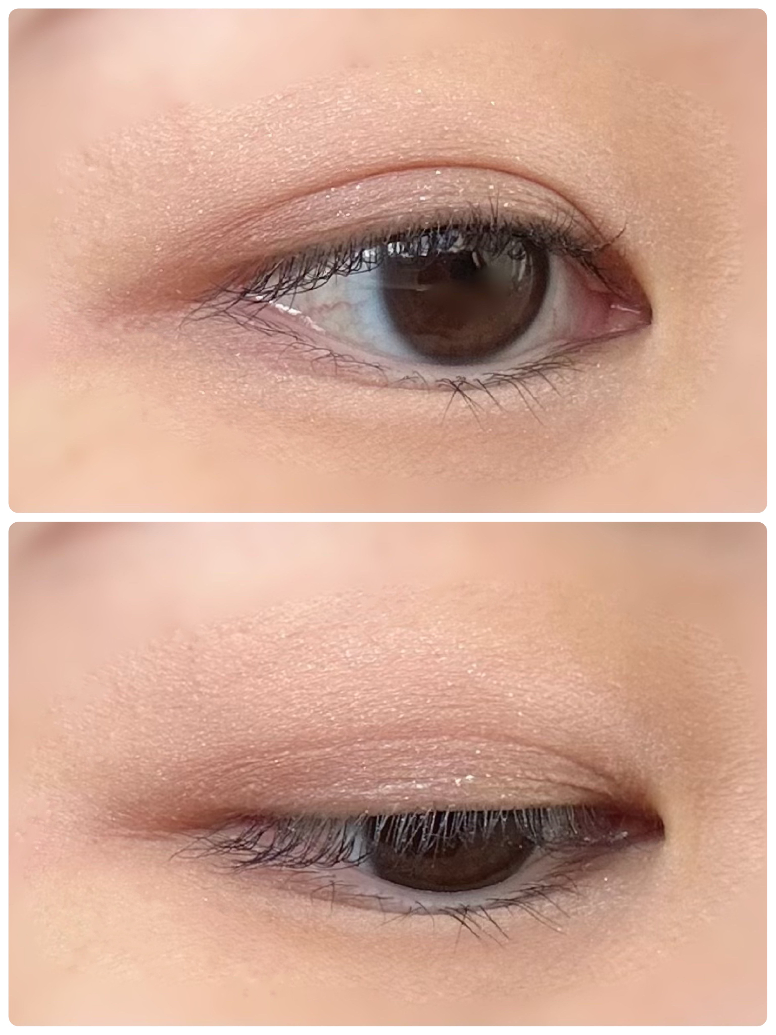 THE アイパレR 06 本能のヌードベージュ【新】/b idol/アイシャドウパレットを使ったクチコミ（2枚目）