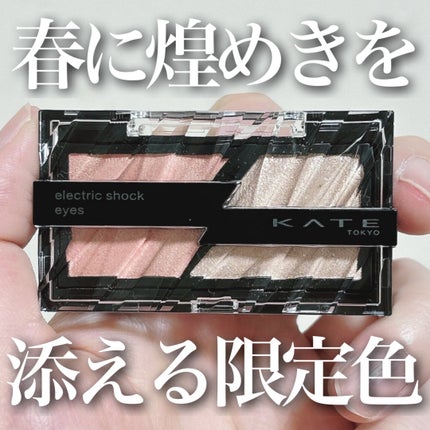 エレクトリックショックアイズ /KATE/アイシャドウパレットを使ったクチコミ(1枚目)