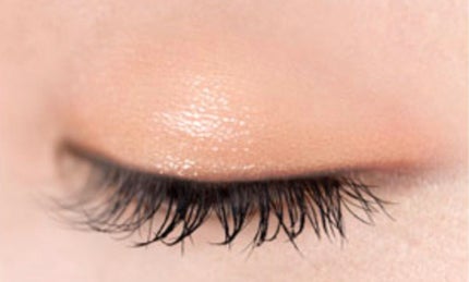 R08 ショートホイップ