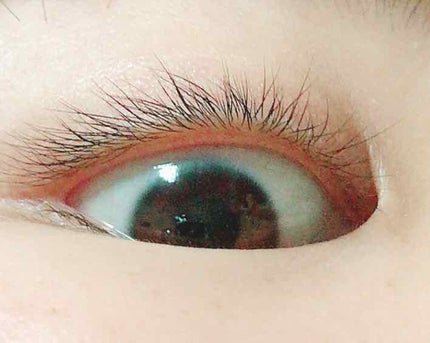 ローヤルゼリー配合 栄養ローション/DAISO/美容液を使ったクチコミ(3枚目)